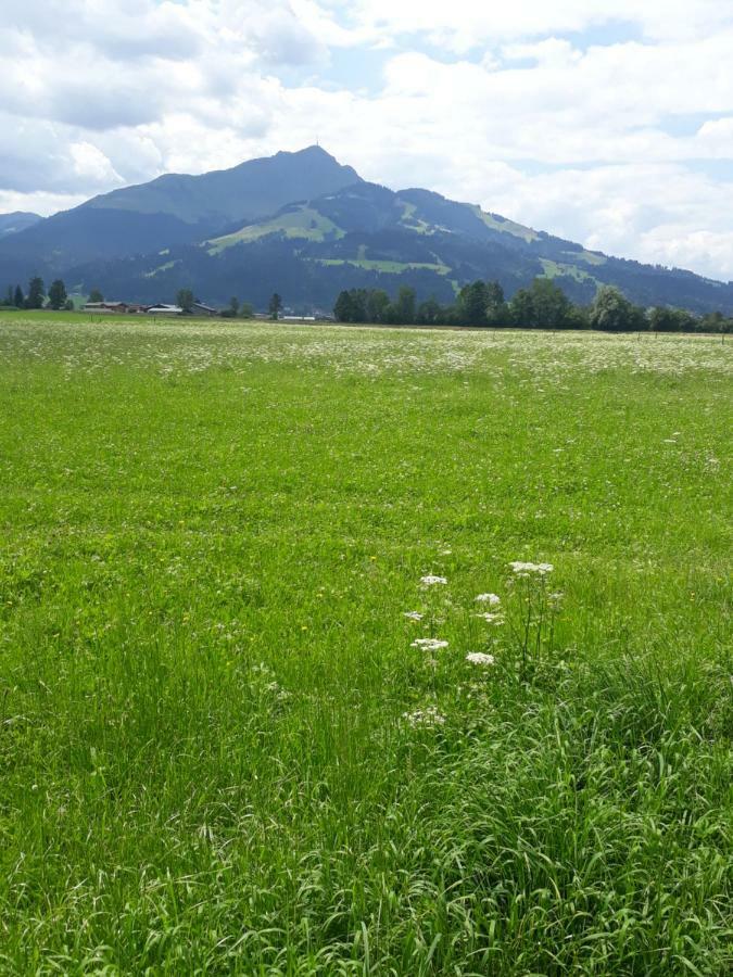 Appartement Muellner Kirchdorf in Tirol Eksteriør billede